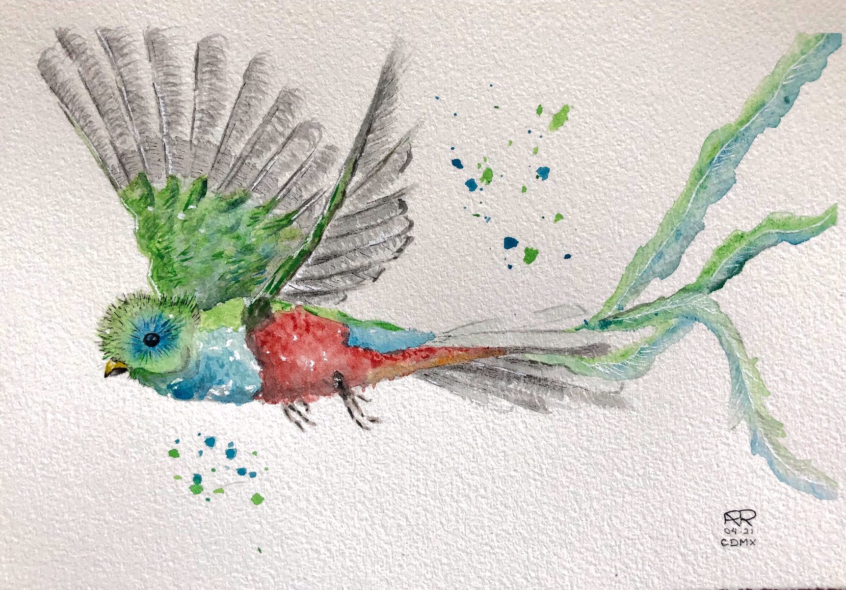 Quetzal Bird