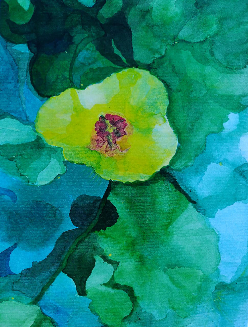Amapolita-de-agua - abstract flower